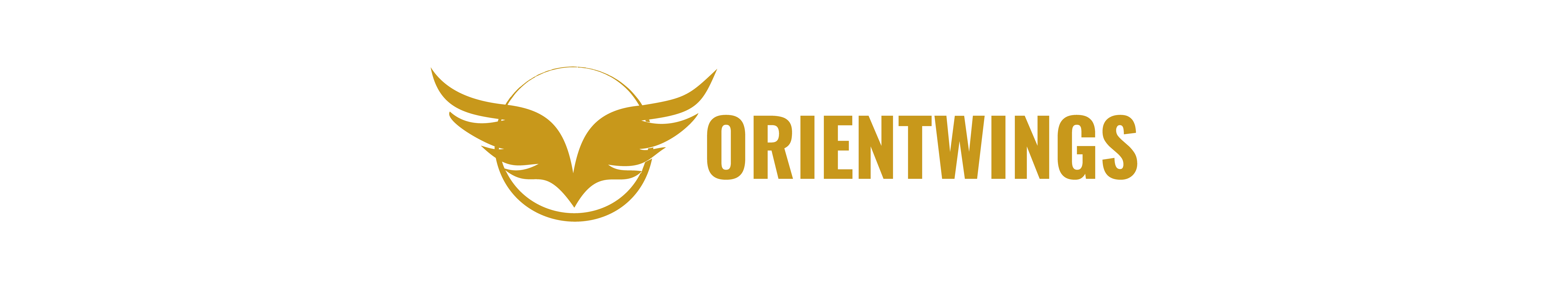 orientwings,Quality Control,International Sourcing